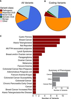 Interpreting Sequence Variation in PDAC-Predisposing Genes Using a Multi-Tier Annotation Approach Performed at the Gene, Patient, and Cohort Level